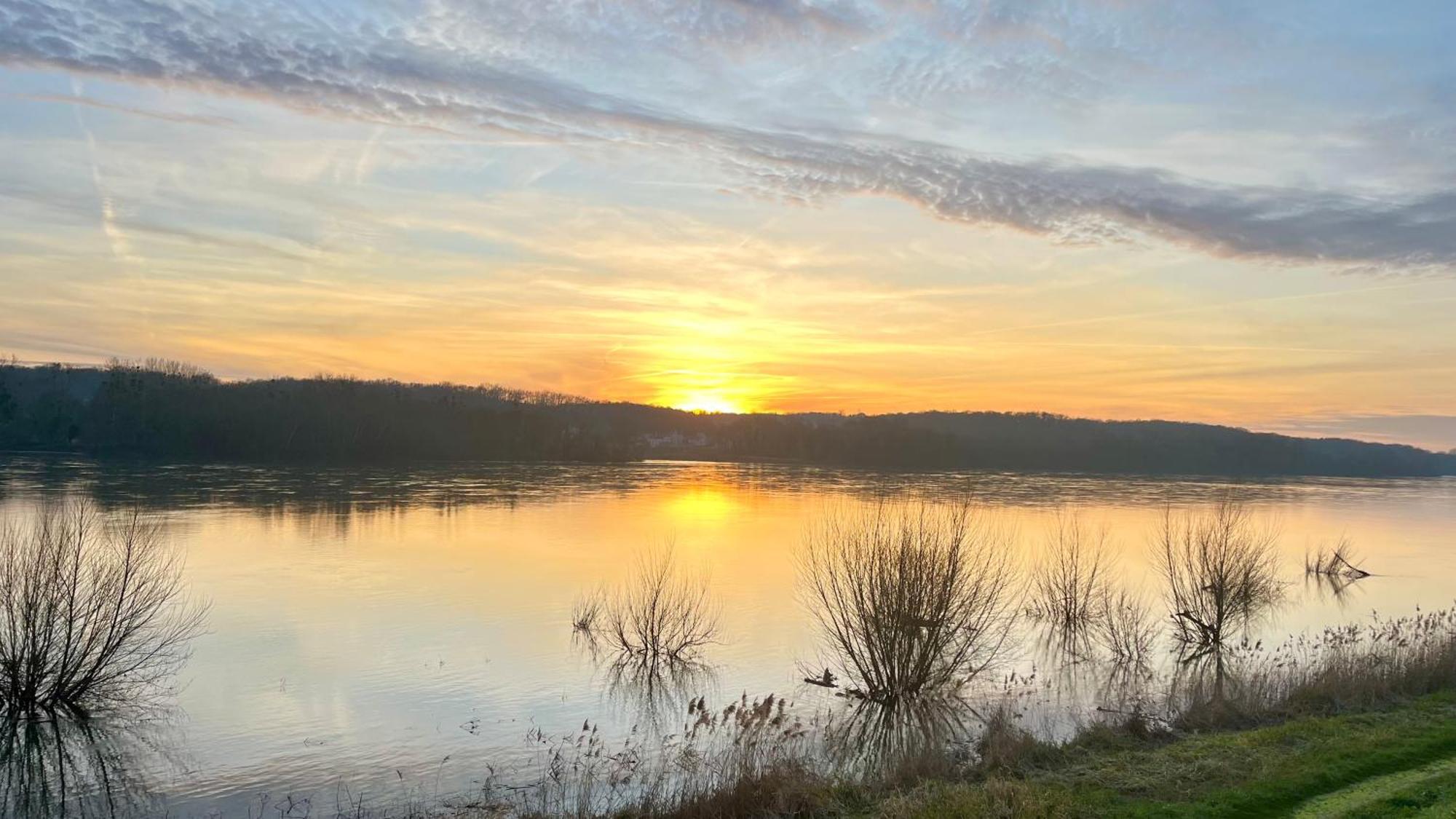 Un Mirage Tropical En Bord De Loire, Love Et Detente Saint-Clément-des-Levées Esterno foto